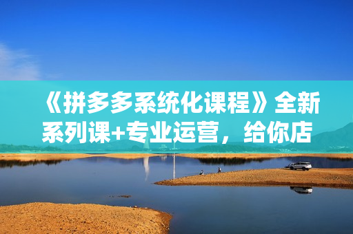 《拼多多系统化课程》全新系列课+专业运营，给你店铺出运营方向