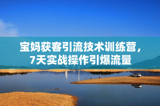 宝妈获客引流技术训练营，7天实战操作引爆流量