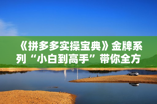 《拼多多实操宝典》金牌系列“小白到高手”带你全方位玩转拼多多各种玩法