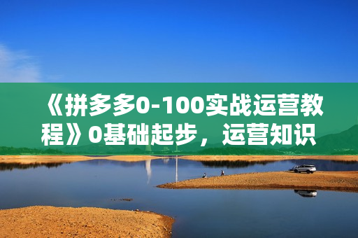 《拼多多0-100实战运营教程》0基础起步，运营知识一手掌握