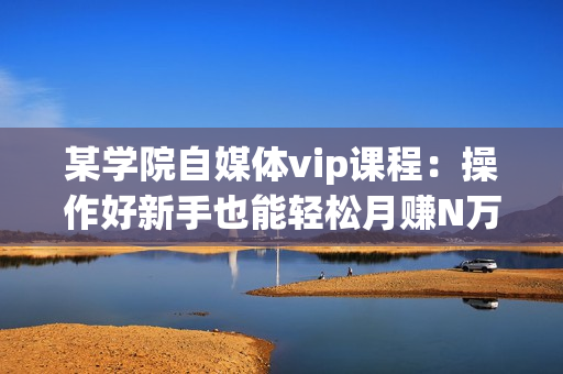 某学院自媒体vip课程：操作好新手也能轻松月赚N万元（全套视频教程）