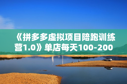《拼多多虚拟项目陪跑训练营1.0》单店每天100-200收益，独家选品思路和运营