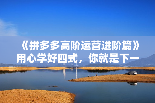 《拼多多高阶运营进阶篇》用心学好四式，你就是下一位运营高手