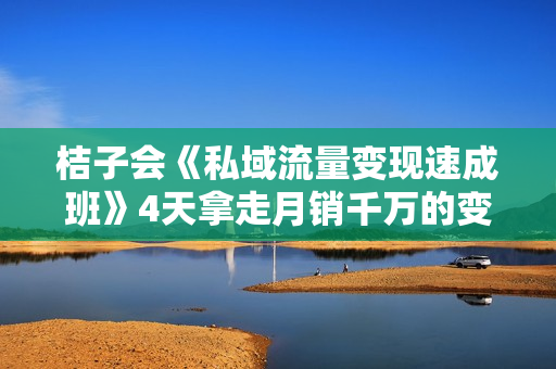 桔子会《私域流量变现速成班》4天拿走月销千万的变现方案
