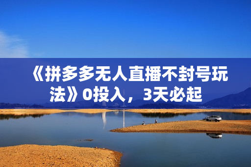 《拼多多无人直播不封号玩法》0投入，3天必起