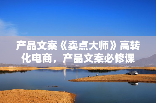 产品文案《卖点大师》高转化电商，产品文案必修课