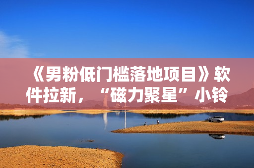 《男粉低门槛落地项目》软件拉新，“磁力聚星”小铃铛变现