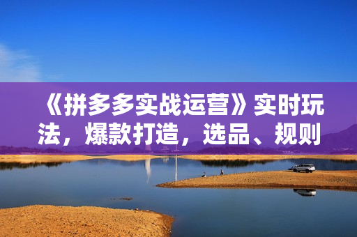 《拼多多实战运营》实时玩法，爆款打造，选品、规则解析