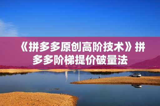 《拼多多原创高阶技术》拼多多阶梯提价破量法