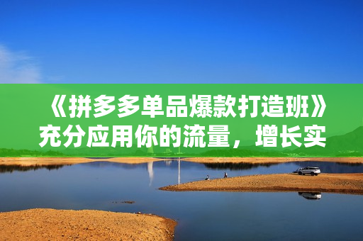 《拼多多单品爆款打造班》充分应用你的流量，增长实战培训