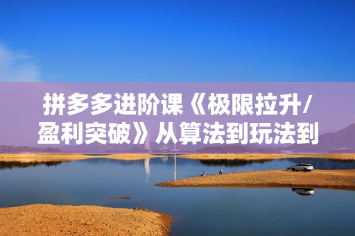 拼多多进阶课《极限拉升/盈利突破》从算法到玩法到团队搭建