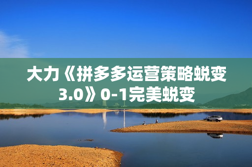 大力《拼多多运营策略蜕变3.0》0-1完美蜕变