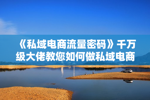 《私域电商流量密码》千万级大佬教您如何做私域电商