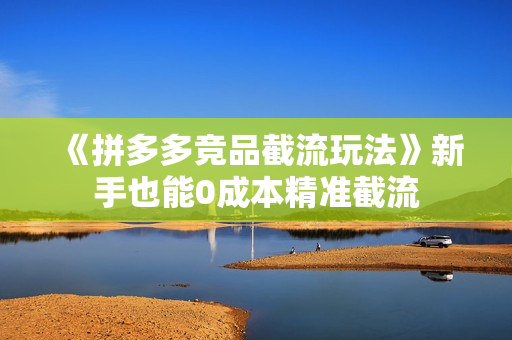 《拼多多竞品截流玩法》新手也能0成本精准截流