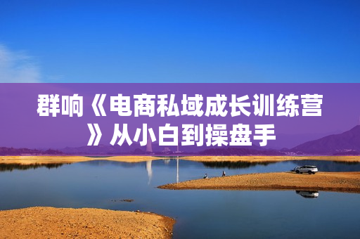 群响《电商私域成长训练营》从小白到操盘手