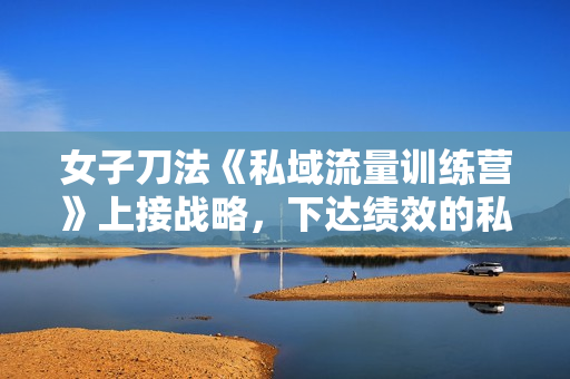 女子刀法《私域流量训练营》上接战略，下达绩效的私域实战+思维诊断训练营