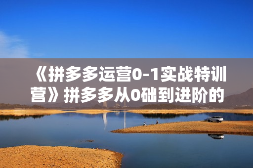 《拼多多运营0-1实战特训营》拼多多从0础到进阶的可实操玩法