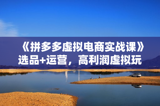 《拼多多虚拟电商实战课》选品+运营，高利润虚拟玩法