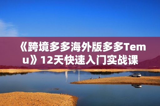 《跨境多多海外版多多Temu》12天快速入门实战课