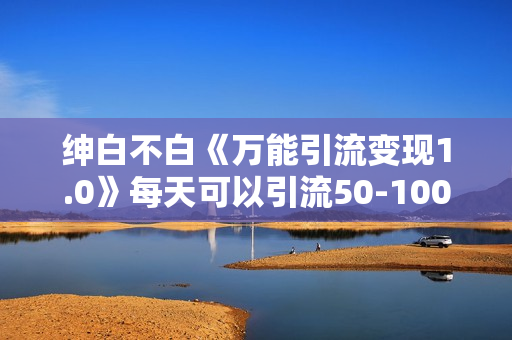 绅白不白《万能引流变现1.0》每天可以引流50-100