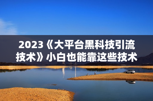 2023《大平台黑科技引流技术》小白也能靠这些技术混到月入1w+