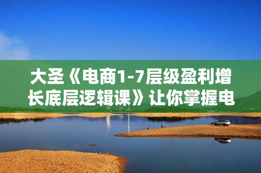 大圣《电商1-7层级盈利增长底层逻辑课》让你掌握电商盈利的底层逻辑