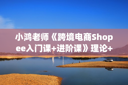 小鸿老师《跨境电商Shopee入门课+进阶课》理论+实操系统化教学