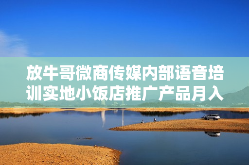 放牛哥微商传媒内部语音培训实地小饭店推广产品月入万元