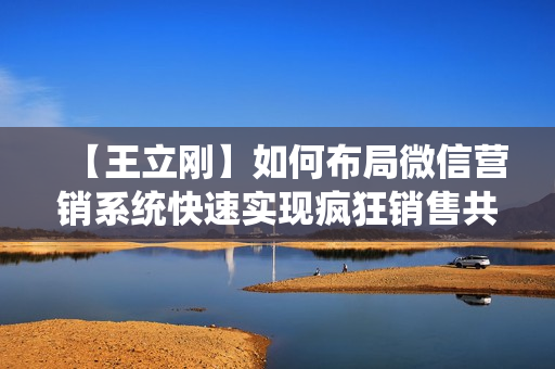 【王立刚】如何布局微信营销系统快速实现疯狂销售共6集