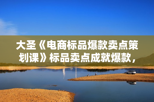 大圣《电商标品爆款卖点策划课》标品卖点成就爆款，可落地卖点提炼课