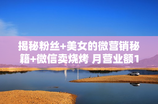 揭秘粉丝+美女的微营销秘籍+微信卖烧烤 月营业额10万（2课）