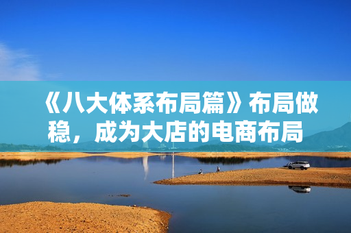 《八大体系布局篇》布局做稳，成为大店的电商布局