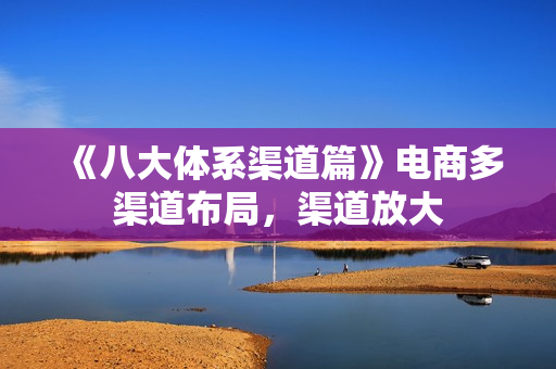 《八大体系渠道篇》电商多渠道布局，渠道放大