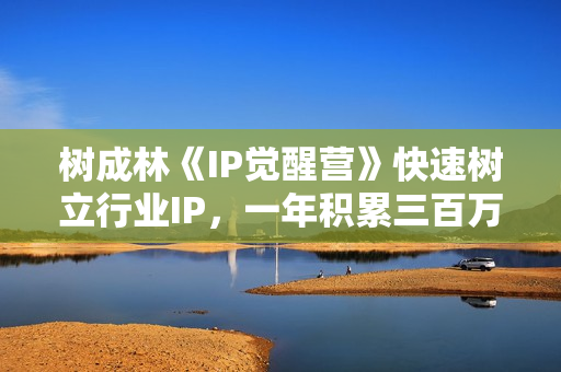 树成林《IP觉醒营》快速树立行业IP，一年积累三百万粉丝的心法