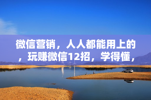 微信营销，人人都能用上的，玩赚微信12招，学得懂，能赚钱