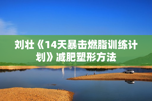 刘壮《14天暴击燃脂训练计划》减肥塑形方法