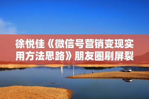 徐悦佳《微信号营销变现实用方法思路》朋友圈刷屏裂变方法