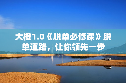 大橙1.0《脱单必修课》脱单道路，让你领先一步