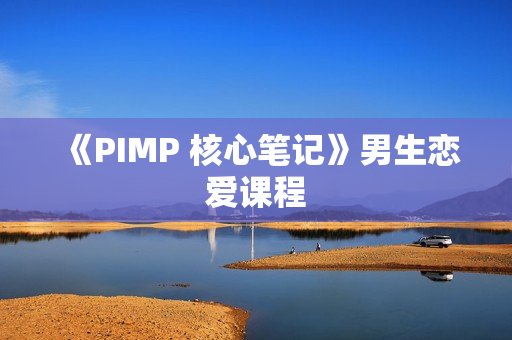 《PIMP 核心笔记》男生恋爱课程