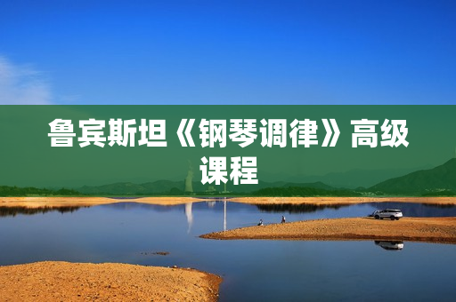 鲁宾斯坦《钢琴调律》高级课程