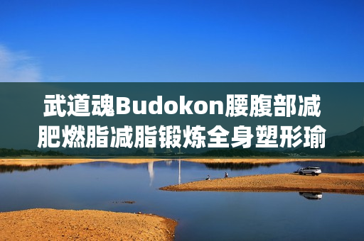 武道魂Budokon腰腹部减肥燃脂减脂锻炼全身塑形瑜伽(tbd)