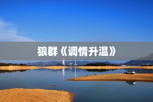 狼群《调情升温》
