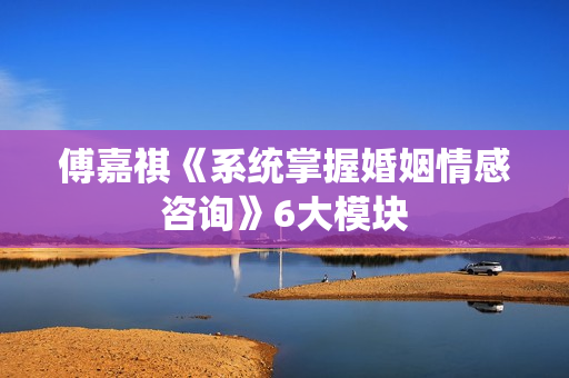 傅嘉祺《系统掌握婚姻情感咨询》6大模块