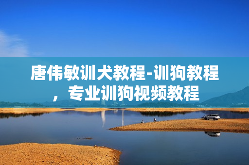 唐伟敏训犬教程-训狗教程，专业训狗视频教程