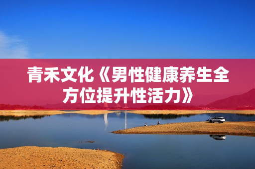 青禾文化《男性健康养生全方位提升性活力》