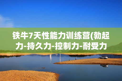 铁牛7天性能力训练营(勃起力-持久力-控制力-耐受力与手技和口技)
