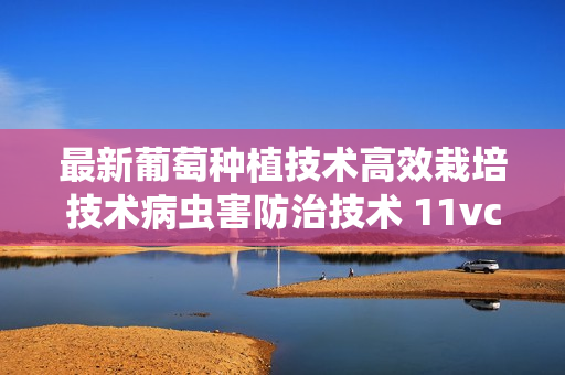 最新葡萄种植技术高效栽培技术病虫害防治技术 11vcd 种葡萄资料