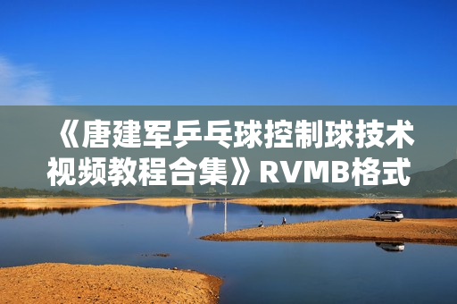 《唐建军乒乓球控制球技术视频教程合集》RVMB格式