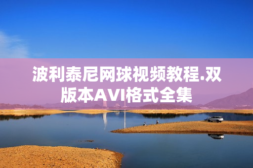 波利泰尼网球视频教程.双版本AVI格式全集