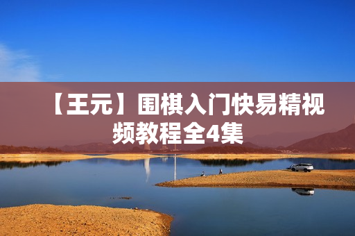 【王元】围棋入门快易精视频教程全4集